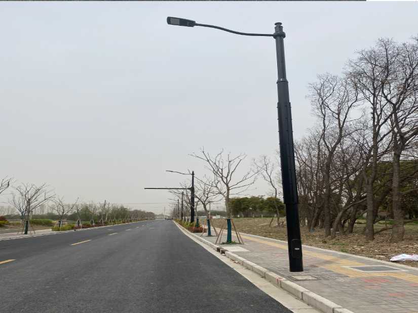 灌南县上海综合杆 太阳能路灯工程